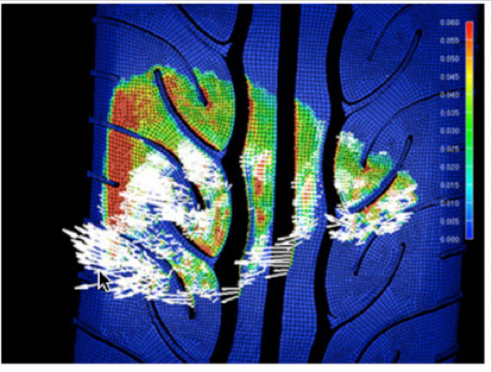 Water Evacuation Simulation